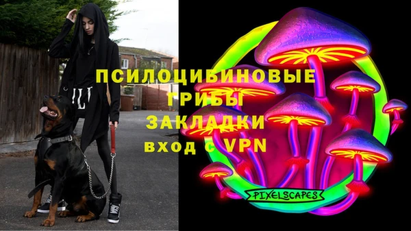 прущая мука Краснослободск
