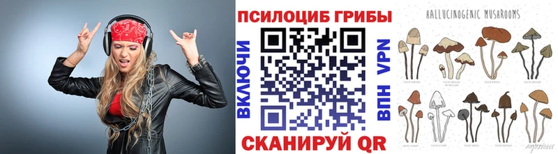 Галлюциногенные грибы Psilocybine cubensis  Купить закладки  Мамоново 